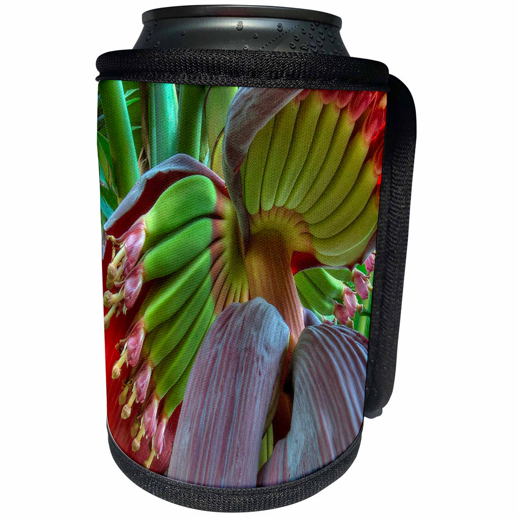 3dRose Taiche - Photography - Banana Tree - Banana - Can Cooler Bottle Wrap (cc_243213)