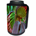3dRose Taiche - Photography - Banana Tree - Banana - Can Cooler Bottle Wrap (cc_243213)