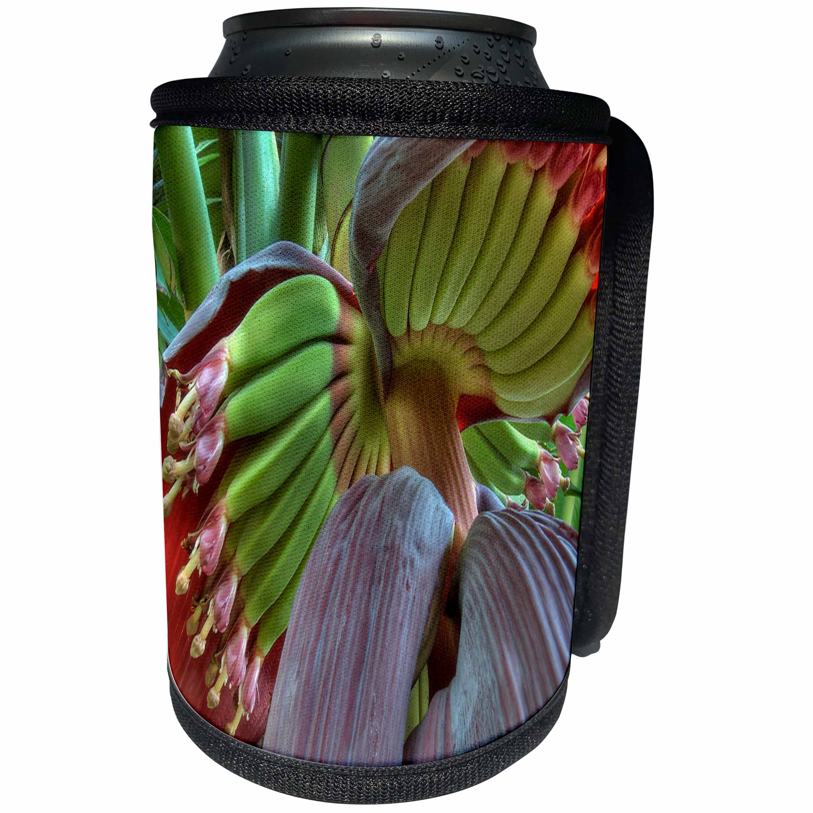 3dRose Taiche - Photography - Banana Tree - Banana - Can Cooler Bottle Wrap (cc_243213)