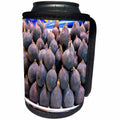3dRose Taiche - Photography - Figs - Image of Fresh Figs - Can Cooler Bottle Wrap (cc_243226)
