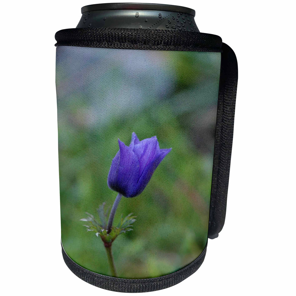 3dRose Taiche - Photography - Anemone - Lone Blue Purple Anemone - Can Cooler Bottle Wrap (cc_243239)
