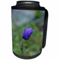 3dRose Taiche - Photography - Anemone - Lone Blue Purple Anemone - Can Cooler Bottle Wrap (cc_243239)