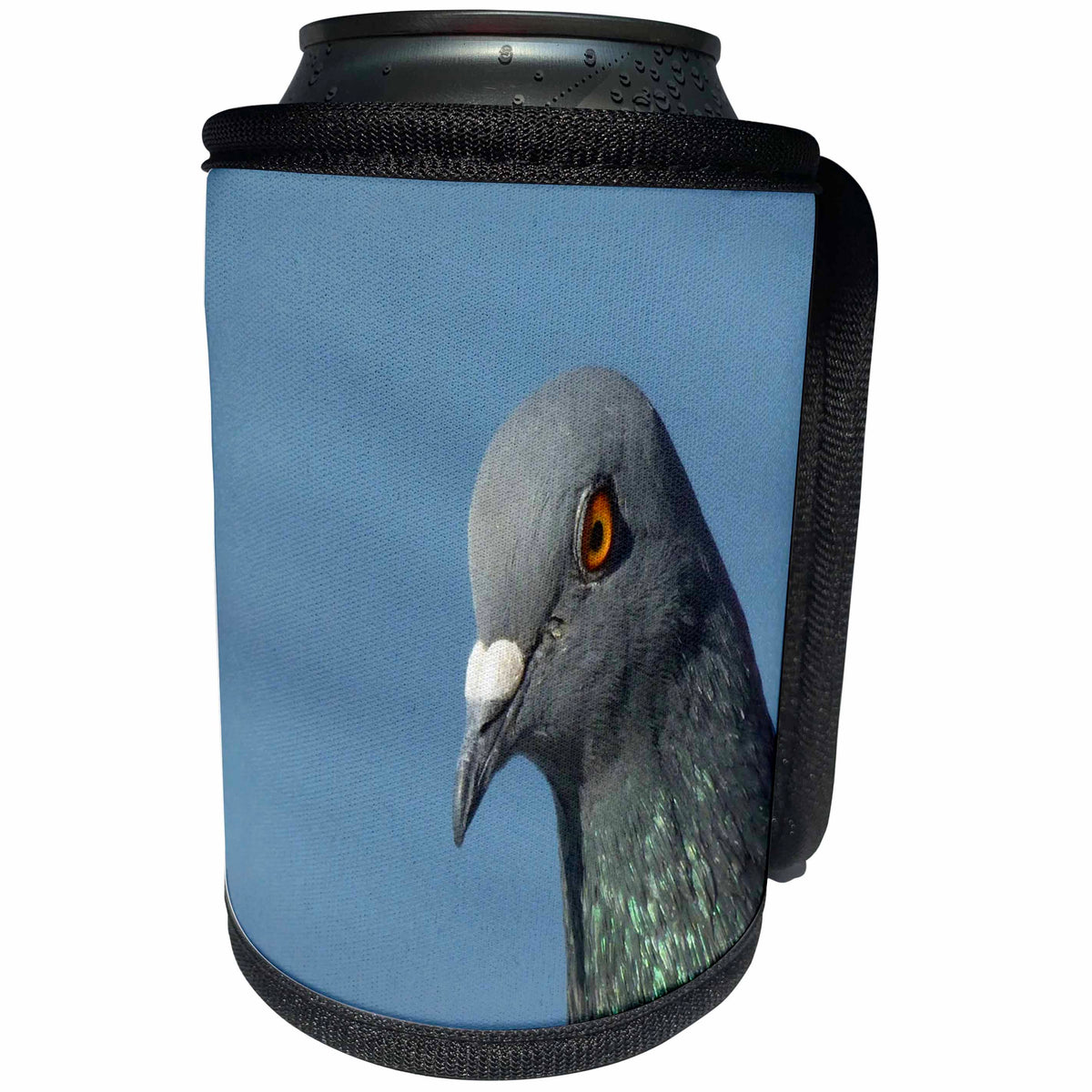 3dRose Taiche - Photography - Pigeon - Pigeon - Can Cooler Bottle Wrap (cc_243241)