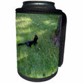 3dRose Beverly Turner Cat Photography - Black Cat Looking up into a Tree - Can Cooler Bottle Wrap (cc_24344)