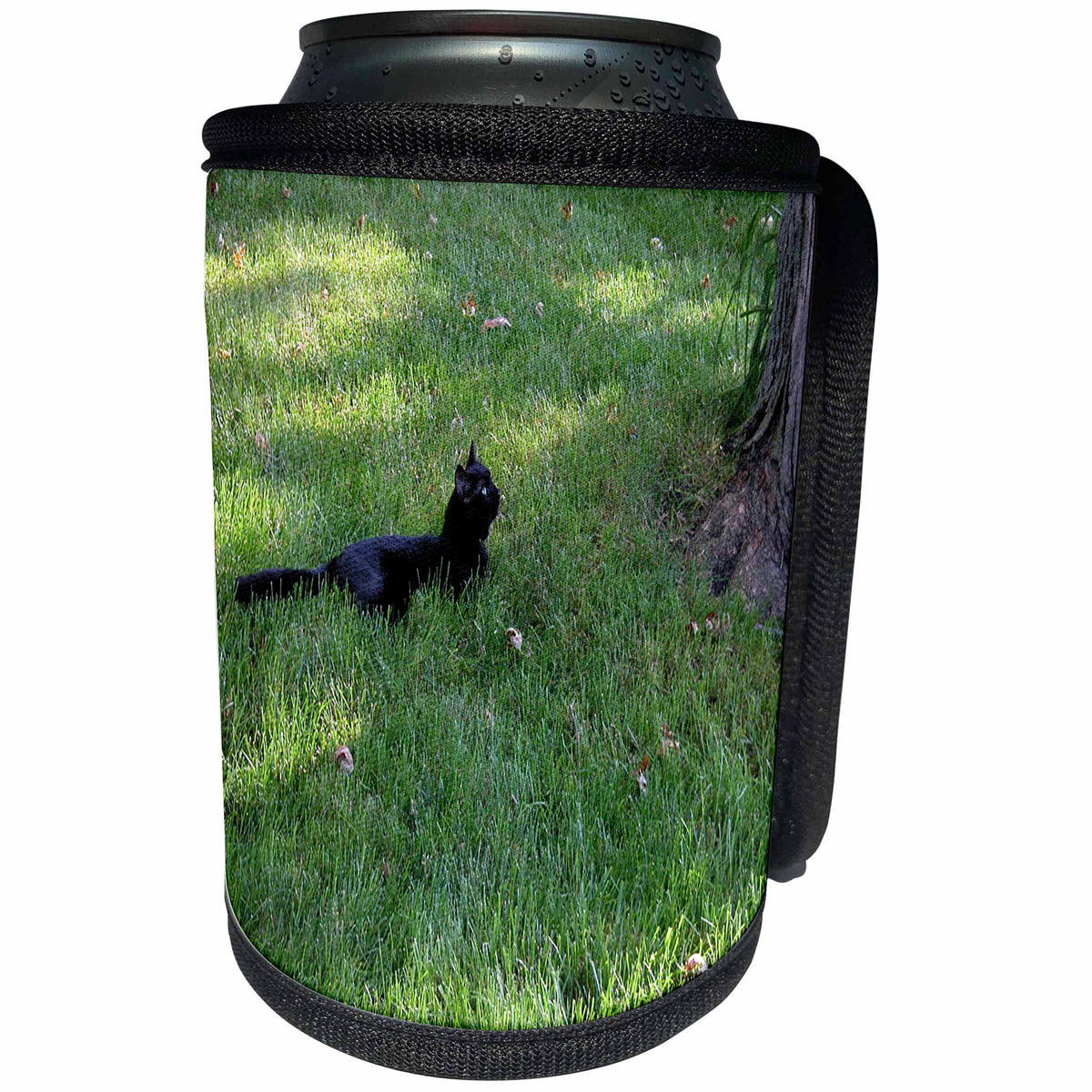 3dRose Beverly Turner Cat Photography - Black Cat Looking up into a Tree - Can Cooler Bottle Wrap (cc_24344)
