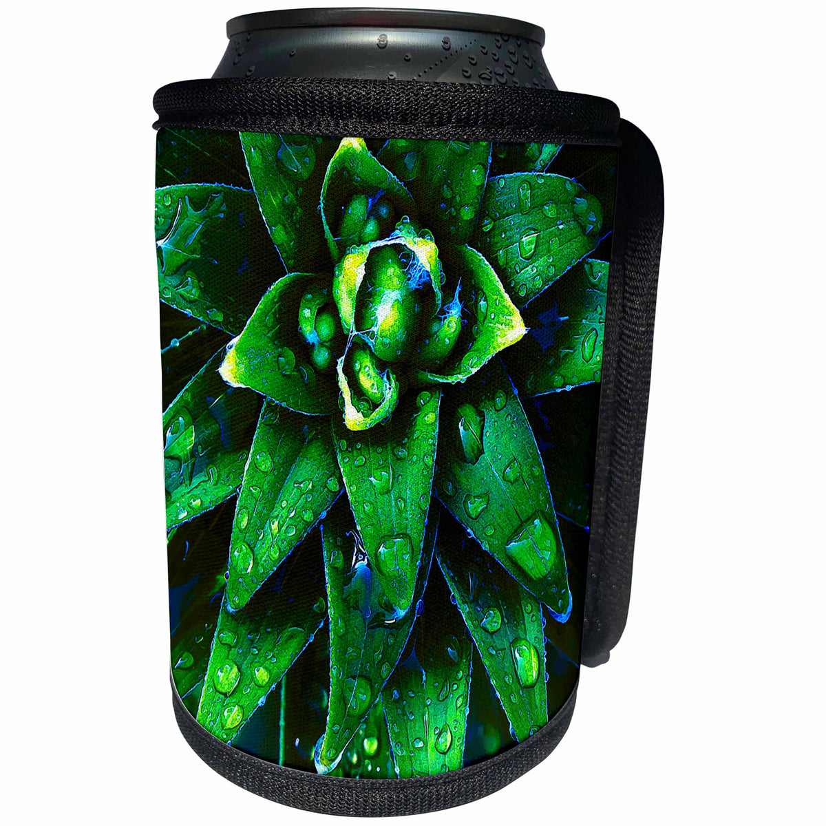 3dRose Phil Perkins - Nature - Morning Dew On Plant - macro capture of a vibrant green plants in dew - Can Cooler Bottle Wrap (cc_243458)