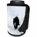 3dRose Beverly Turner Cat Photography - Black and White Cat Walking in the Snow - Can Cooler Bottle Wrap (cc_24352)