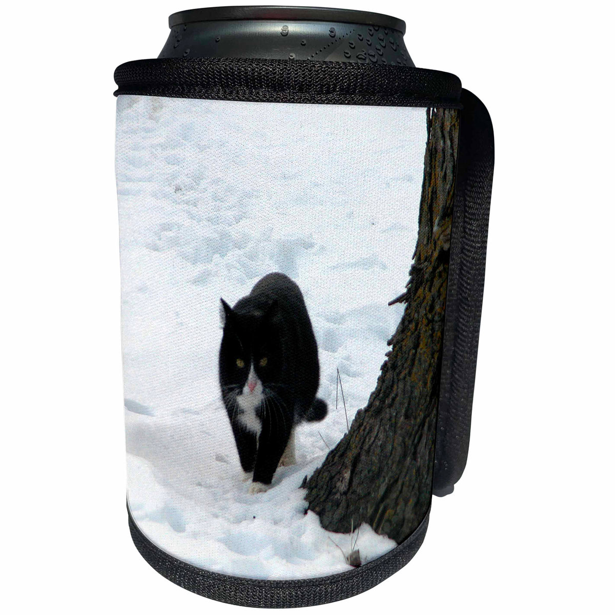 3dRose Beverly Turner Cat Photography - Black and White Cat Walking in the Snow - Can Cooler Bottle Wrap (cc_24352)