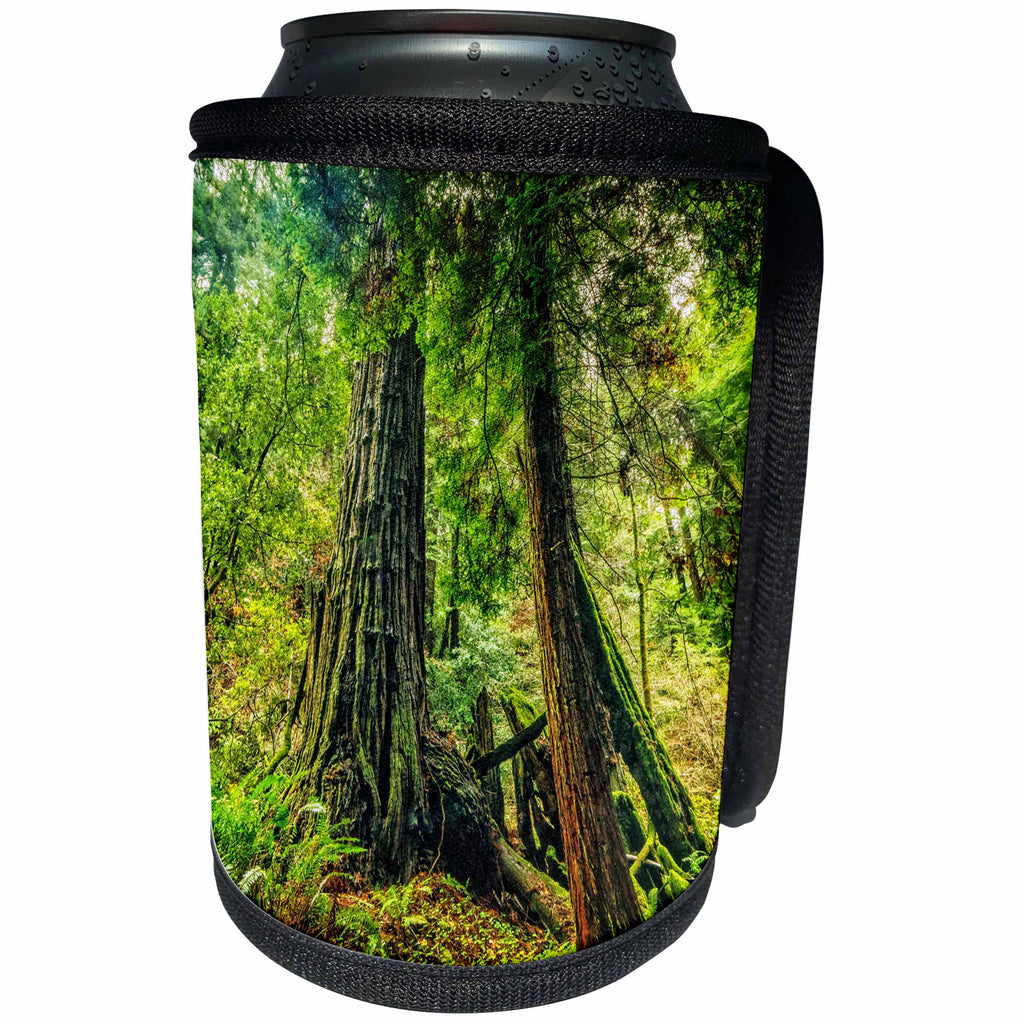 3dRose Boehm Graphics Photography - Muir Woods Majesty - Can Cooler Bottle Wrap (cc_244268)
