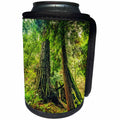 3dRose Boehm Graphics Photography - Muir Woods Majesty - Can Cooler Bottle Wrap (cc_244268)