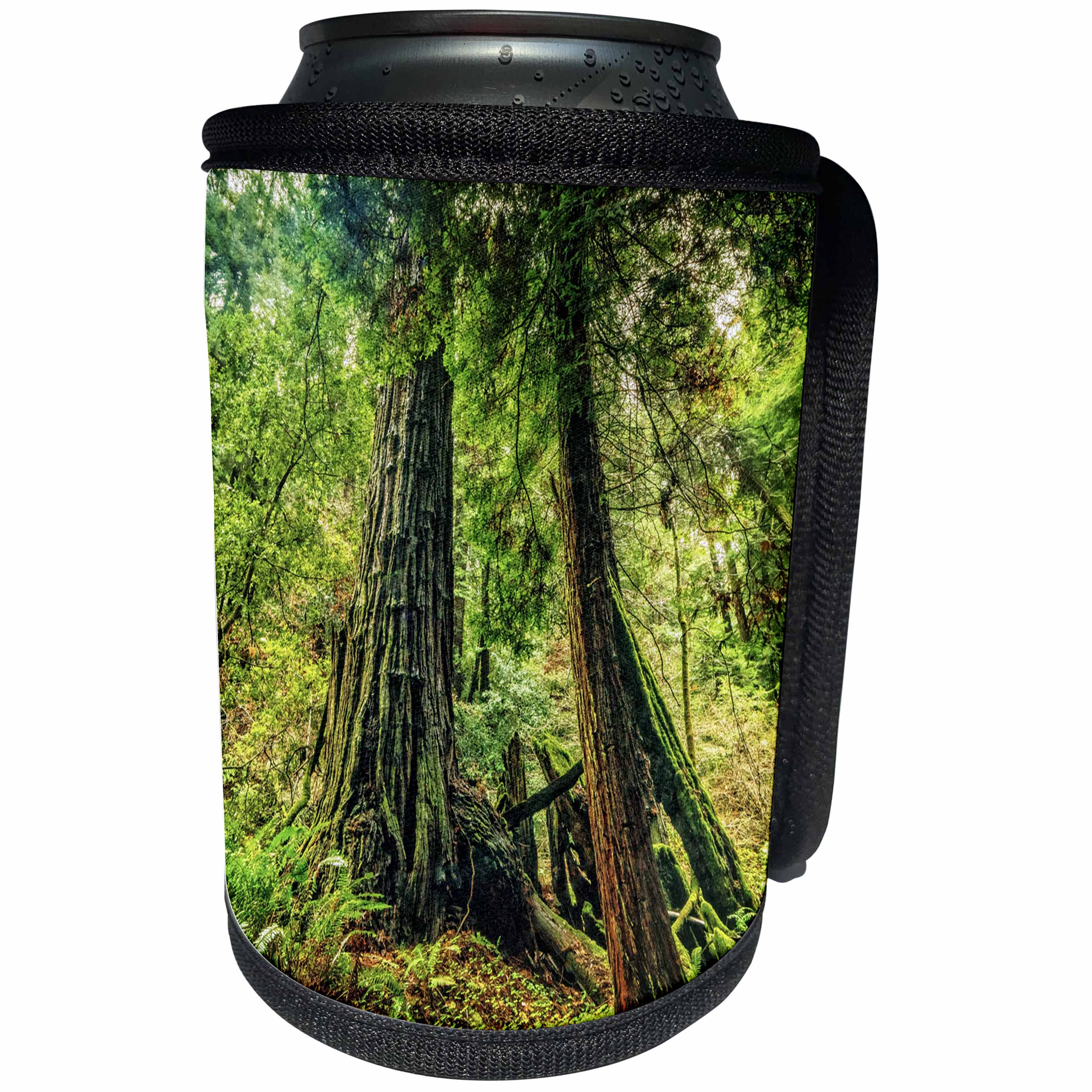 3dRose Boehm Graphics Photography - Muir Woods Majesty - Can Cooler Bottle Wrap (cc_244268)
