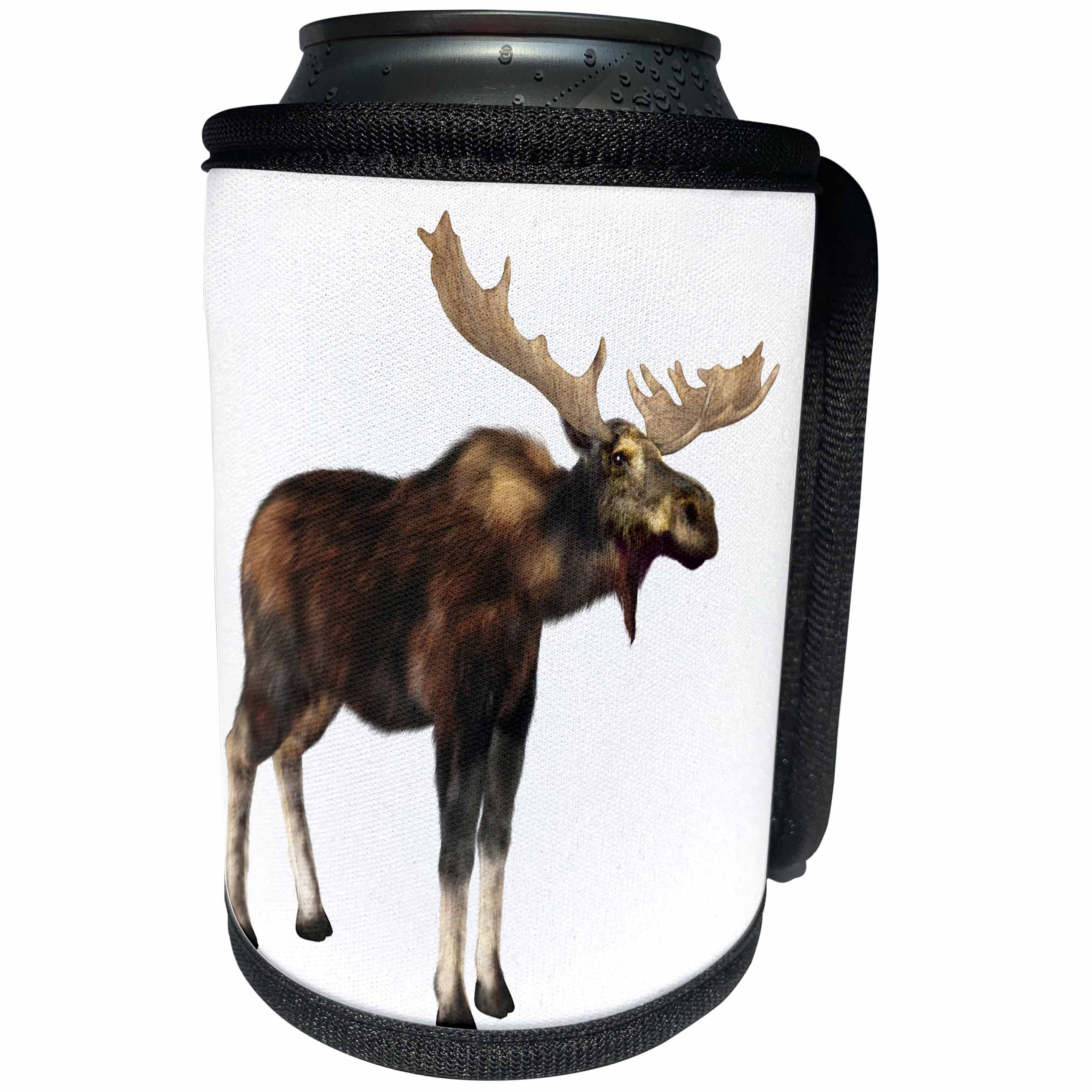 3dRose Boehm Graphics Animal - A Male Moose looking to the Left - Can Cooler Bottle Wrap (cc_244286)