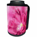 3dRose Doreen Erhardt Cactus Collection - Pink Watercolor Washed Cactus Flower Bloom - Can Cooler Bottle Wrap (cc_244714)