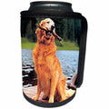 3dRose Dogs Golden Retriever - Golden Retriever - Can Cooler Bottle Wrap (cc_245)