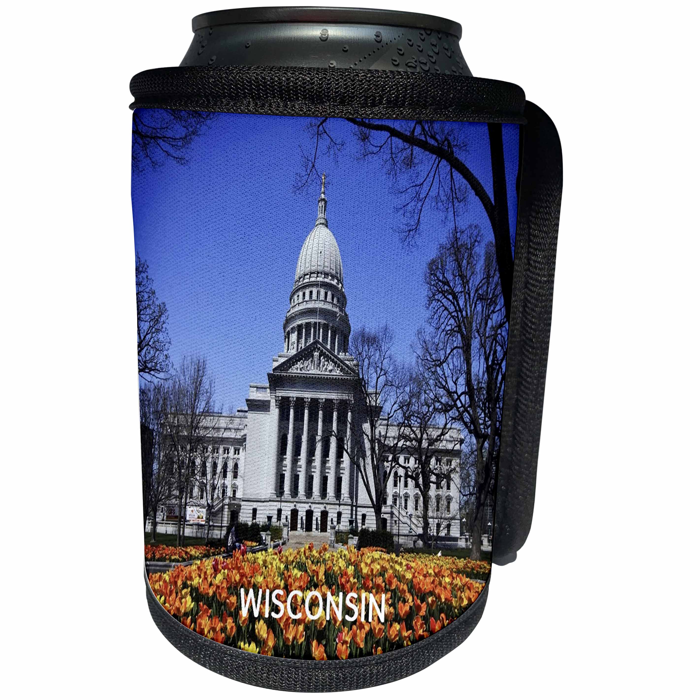 3dRose Florene America The Beautiful - Image of Capitol Building In Madison Wisconsin Flower Field - Can Cooler Bottle Wrap (cc_245051)