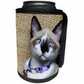 3dRose Florene Cat - Image of Real Funny And Cute Cat Face - Can Cooler Bottle Wrap (cc_245052)