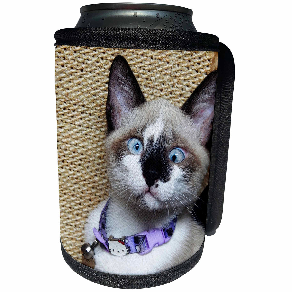 3dRose Florene Cat - Image of Real Funny And Cute Cat Face - Can Cooler Bottle Wrap (cc_245052)