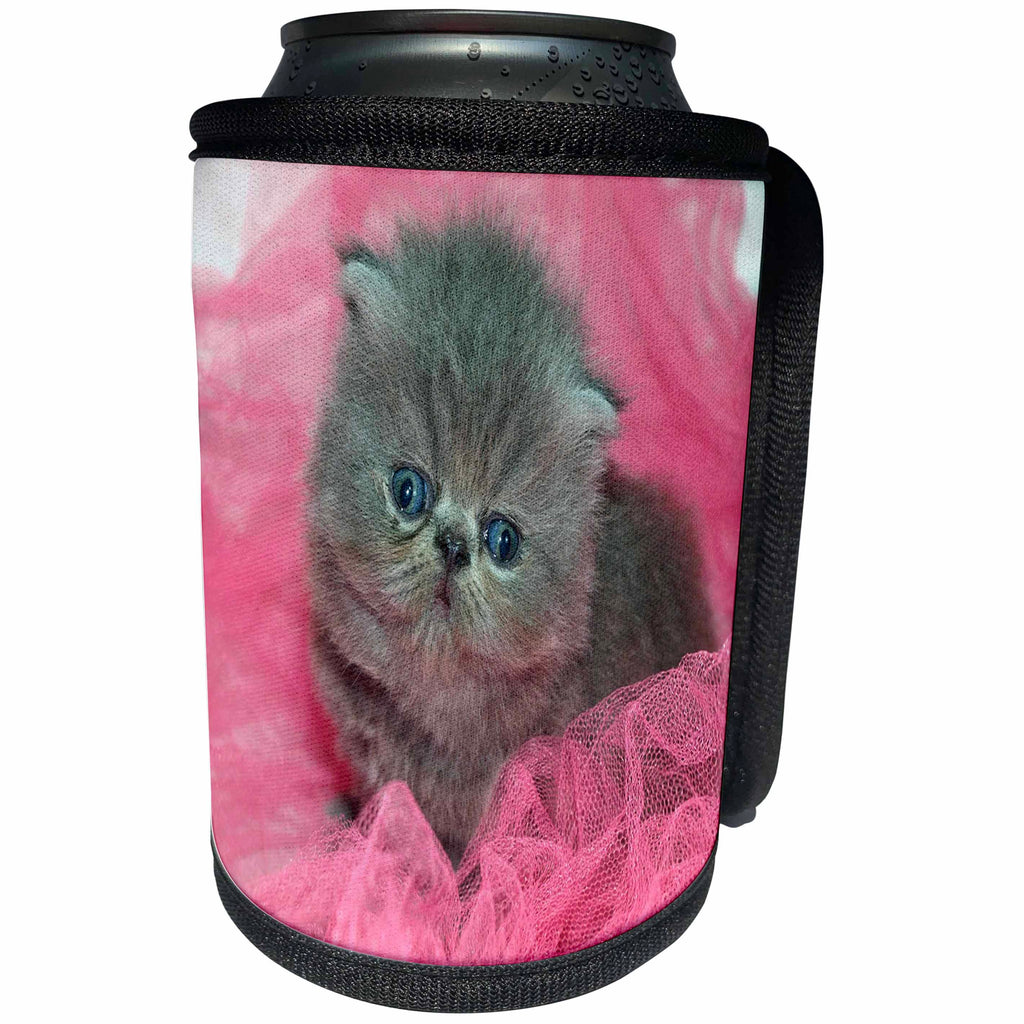 3dRose Florene Cat - Image of Adorable Persian Kitten On Pink Tulle - Can Cooler Bottle Wrap (cc_245053)
