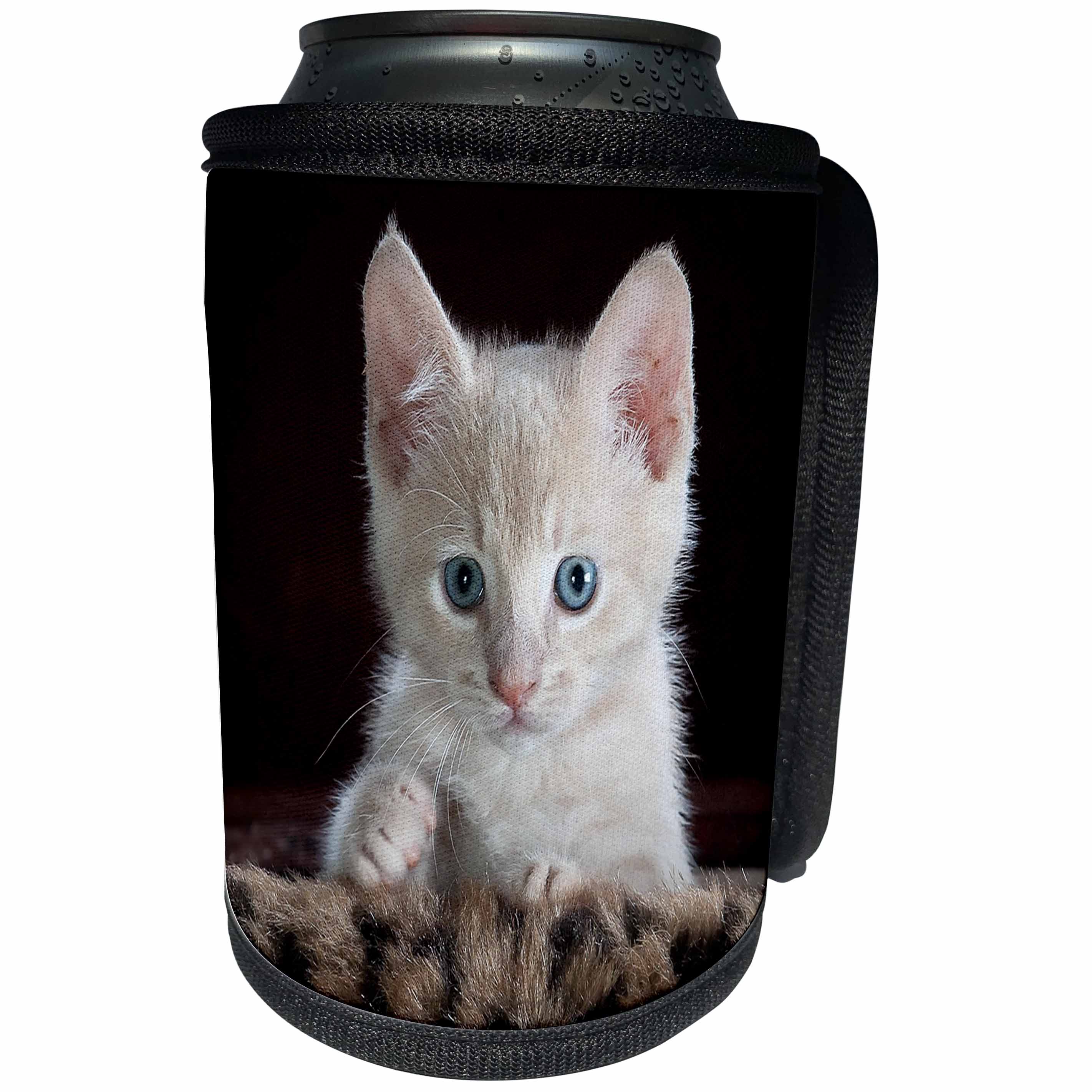 3dRose Florene Cat - Image of Adorable White Kitten Portrait On Fur - Can Cooler Bottle Wrap (cc_245054)