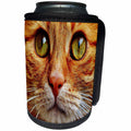 3dRose Florene Cat - Image of Extreme Close Up Of Orange Tabby - Can Cooler Bottle Wrap (cc_245055)