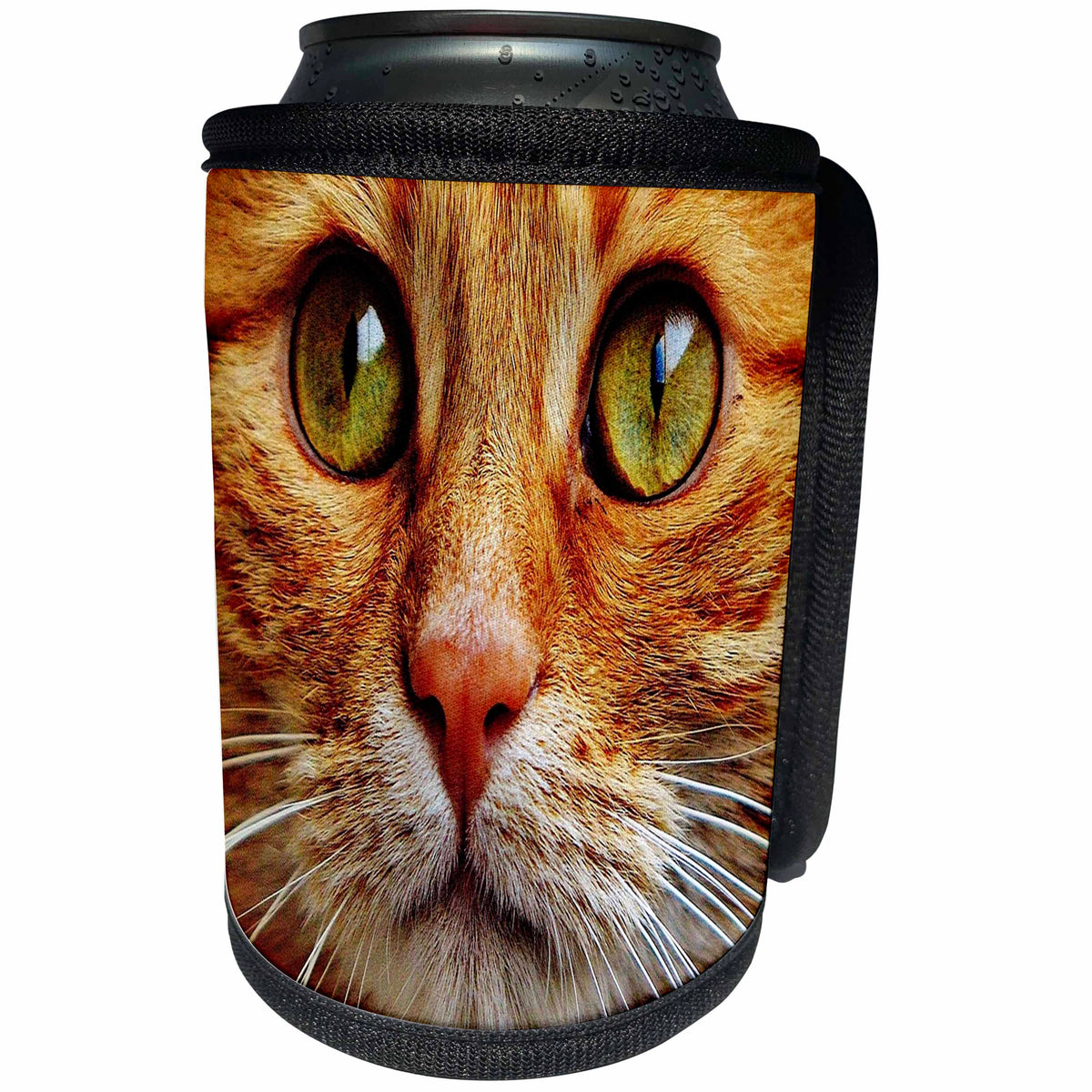 3dRose Florene Cat - Image of Extreme Close Up Of Orange Tabby - Can Cooler Bottle Wrap (cc_245055)