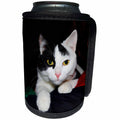3dRose Florene Cat - Image of Black And White Tuxedo Portrait - Can Cooler Bottle Wrap (cc_245056)