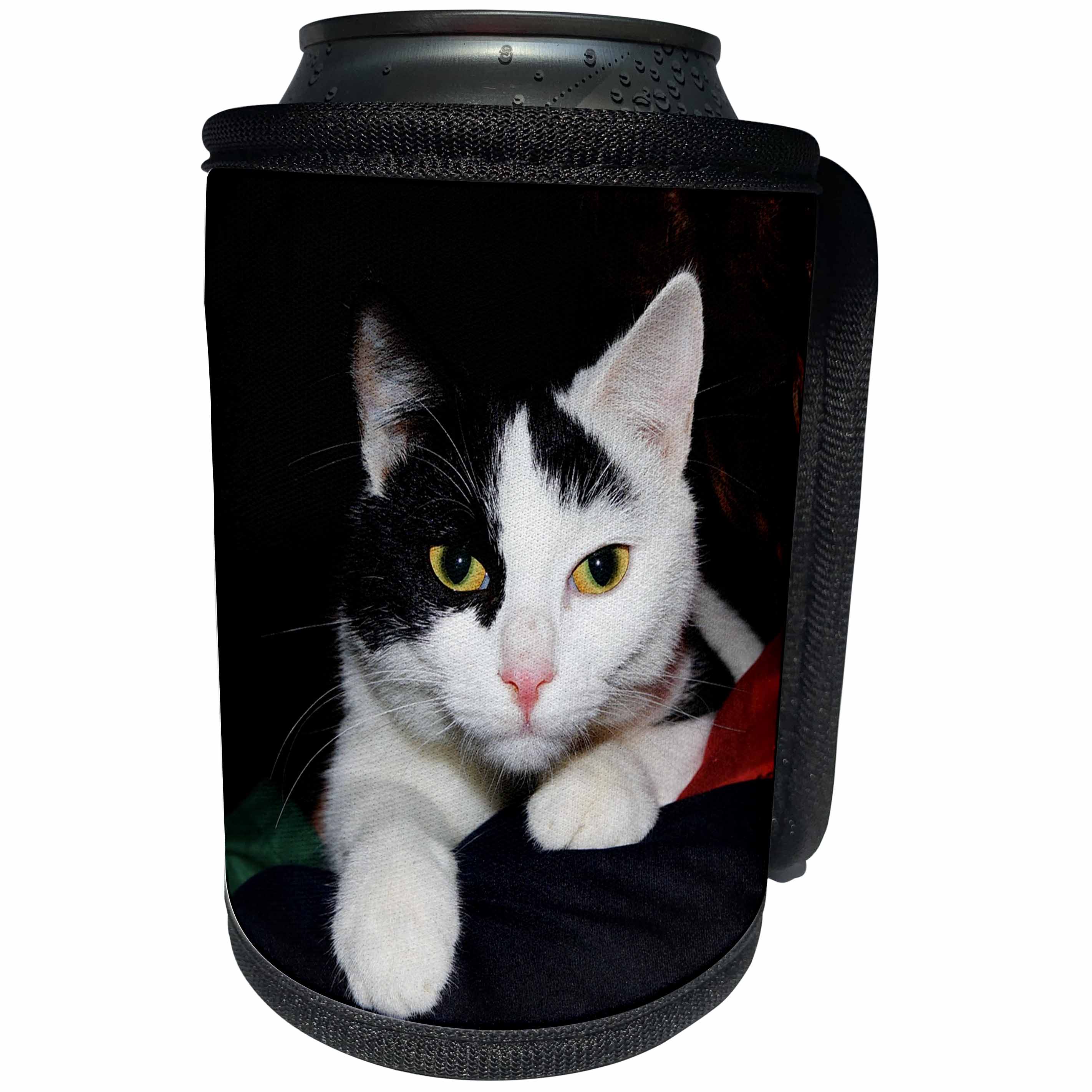 3dRose Florene Cat - Image of Black And White Tuxedo Portrait - Can Cooler Bottle Wrap (cc_245056)