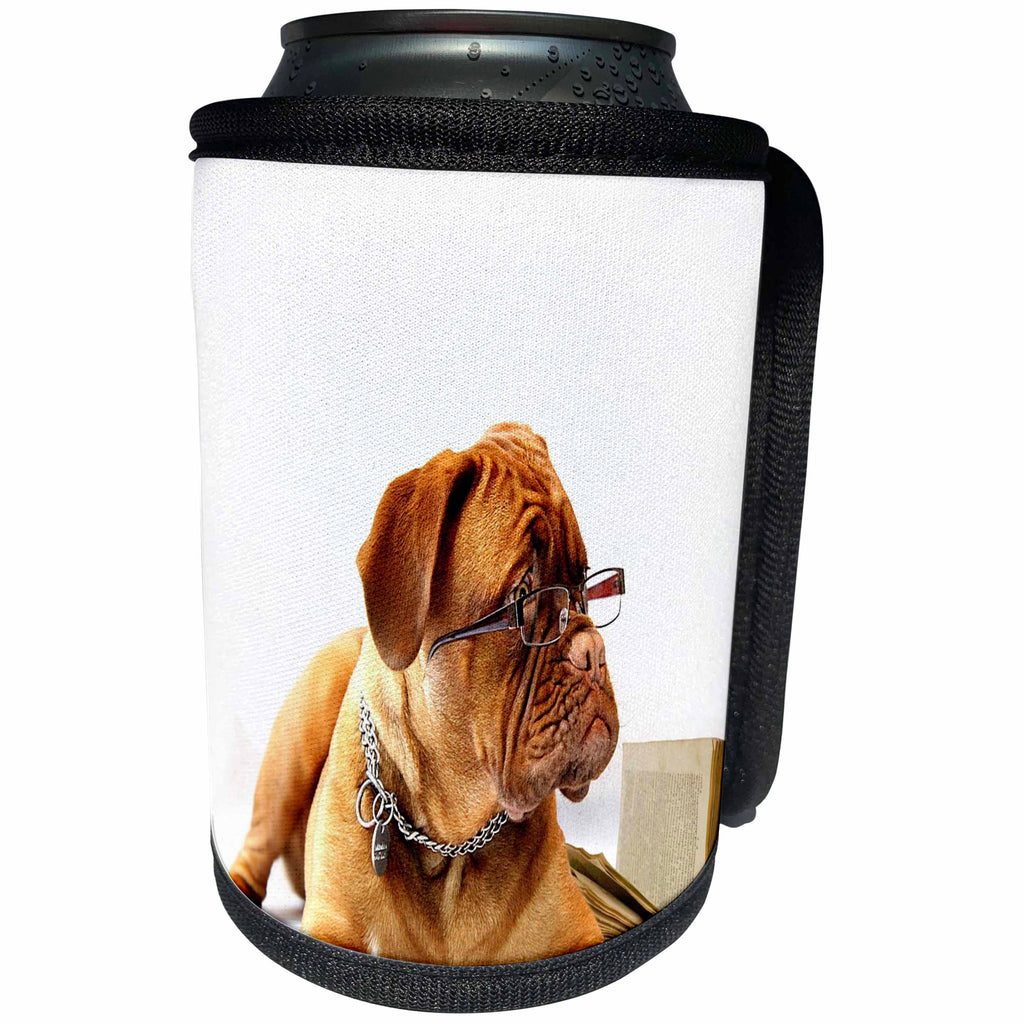 3dRose Florene Dog - Image of Mastiff With Reading Glasses And Book - Can Cooler Bottle Wrap (cc_245062)