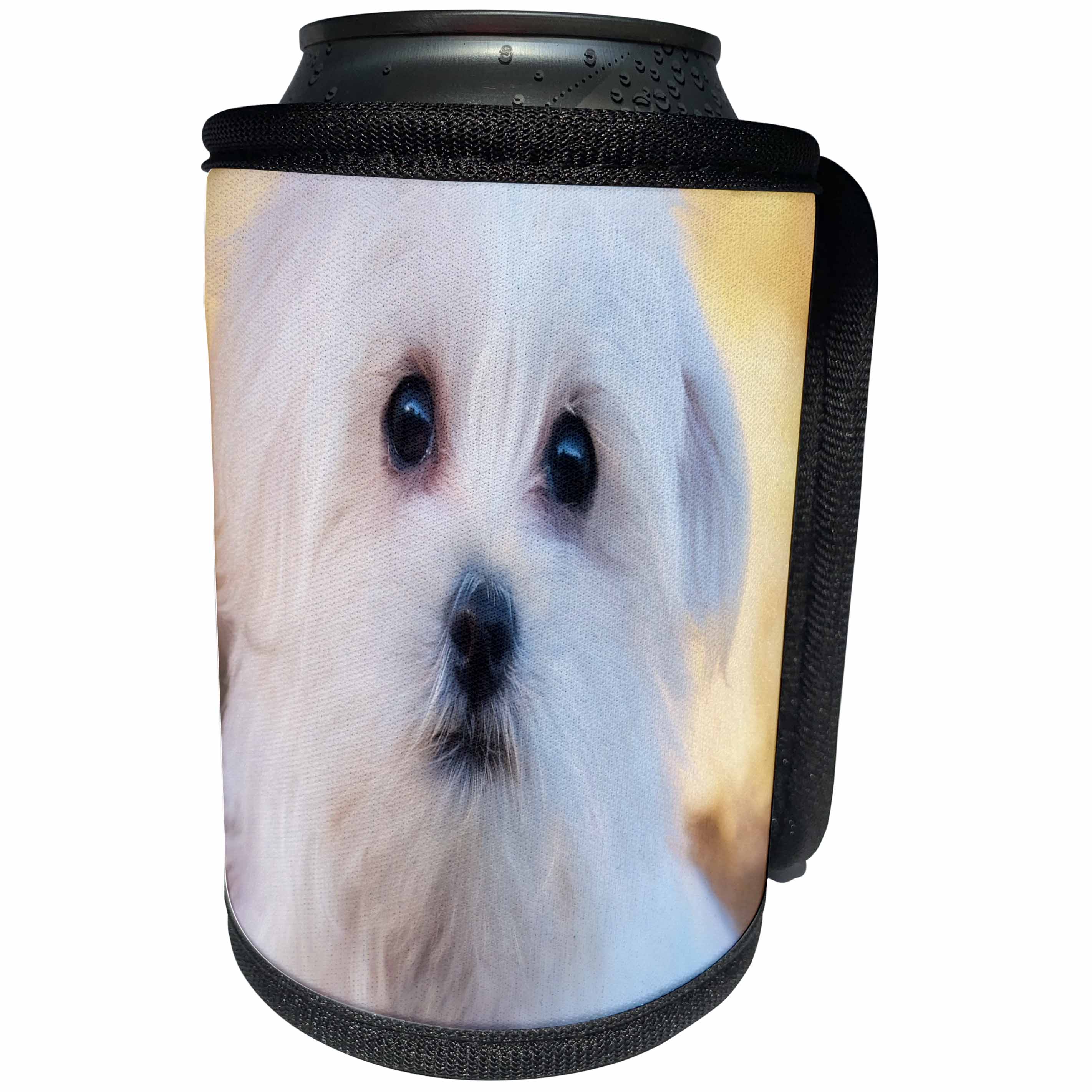3dRose Florene Dog - Image of Adorable Portrait Of A Westie - Can Cooler Bottle Wrap (cc_245064)
