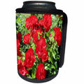 3dRose Florene Italy - Image of Red Flowers In An Italian Garden - Can Cooler Bottle Wrap (cc_245066)