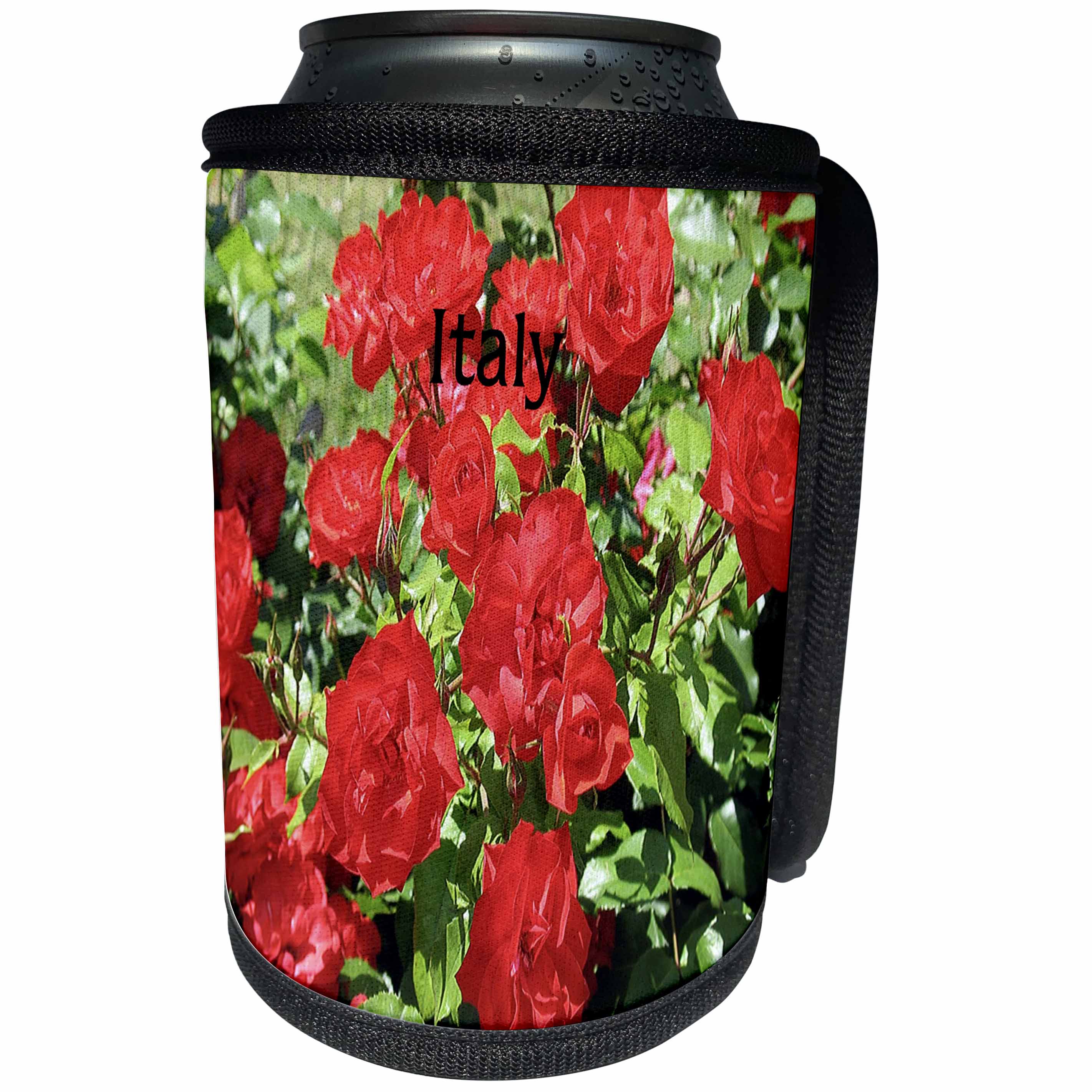 3dRose Florene Italy - Image of Red Flowers In An Italian Garden - Can Cooler Bottle Wrap (cc_245066)