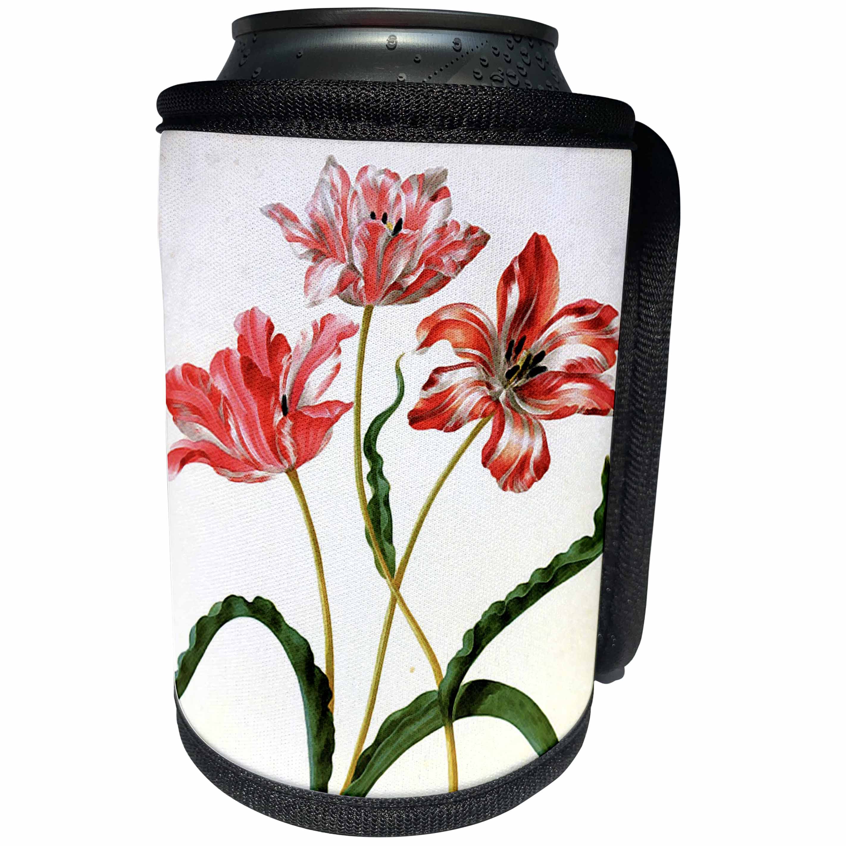3dRose Florene Maria Merian Vintage Botanicals - Image of 1700s German Botanist Painting Red Flowers - Can Cooler Bottle Wrap (cc_245068)