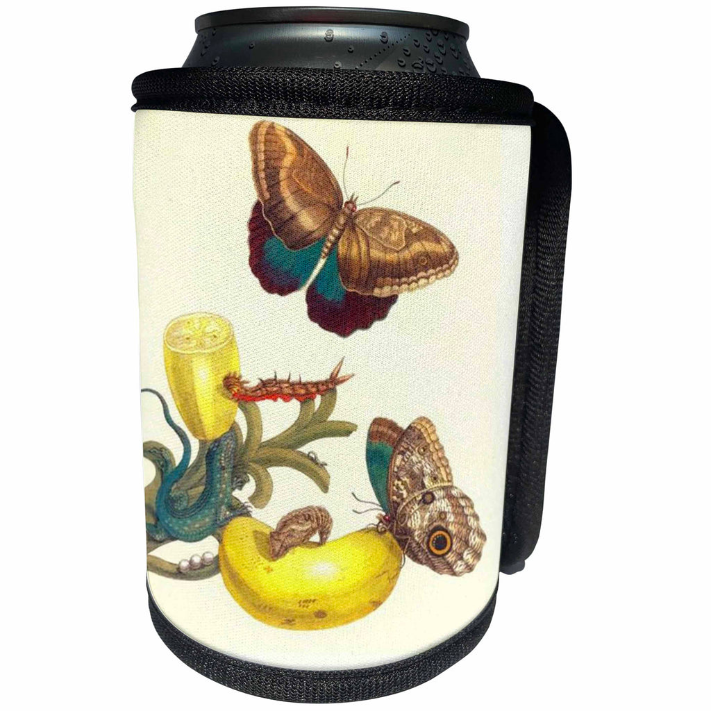 3dRose Florene Maria Merian Vintage Botanicals - Image of 1700s German Botanist Painting Butterflies Yellow Flower - Can Cooler Bottle Wrap (cc_245070)