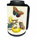 3dRose Florene Maria Merian Vintage Botanicals - Image of 1700s German Botanist Painting Butterflies Yellow Flower - Can Cooler Bottle Wrap (cc_245070)