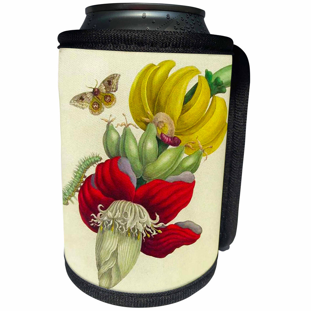 3dRose Florene Maria Merian Vintage Botanicals - Image of 1700s German Botanist Painting Butterflies Red Flower - Can Cooler Bottle Wrap (cc_245071)