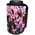 3dRose Jos Fauxtographee- Flowering Tree - Beautiful pink flowers with touches of maroon in the Springtime - Can Cooler Bottle Wrap (cc_245465)