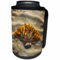 3dRose DYLAN SEIBOLD - PHOTOGRAPHY - SEAWEED ON SAND - Can Cooler Bottle Wrap (cc_245706)