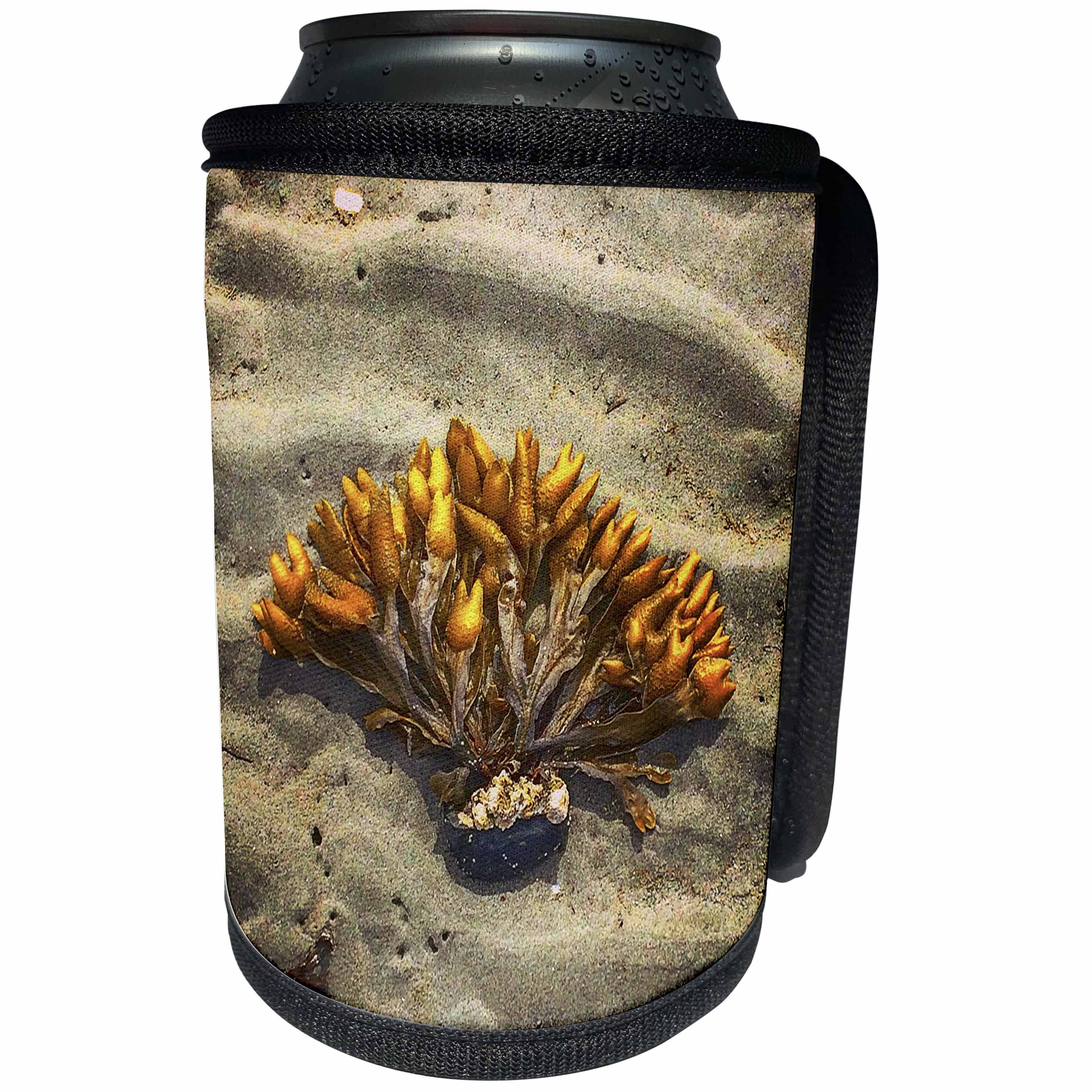 3dRose DYLAN SEIBOLD - PHOTOGRAPHY - SEAWEED ON SAND - Can Cooler Bottle Wrap (cc_245706)