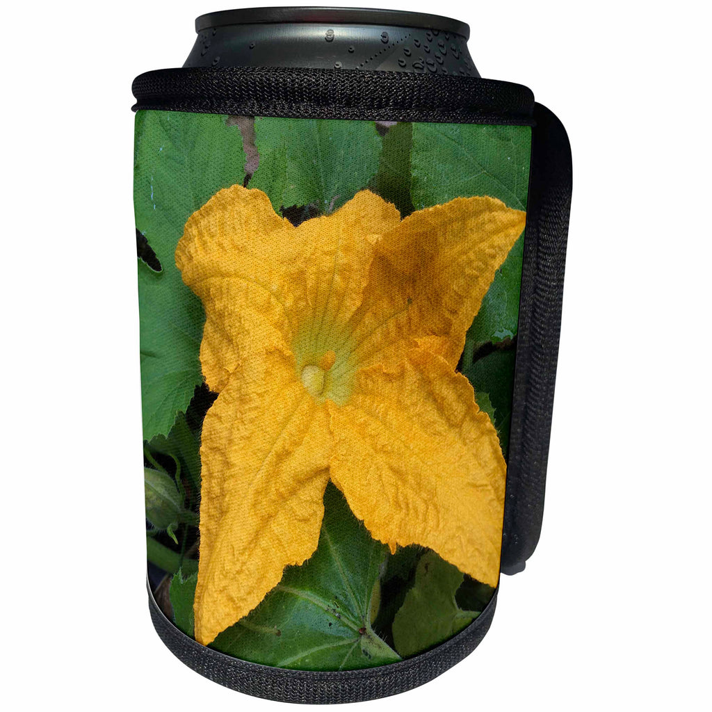 3dRose DYLAN SEIBOLD - PHOTOGRAPHY - YELLOW ZUCCHINI FLOWER - Can Cooler Bottle Wrap (cc_245732)