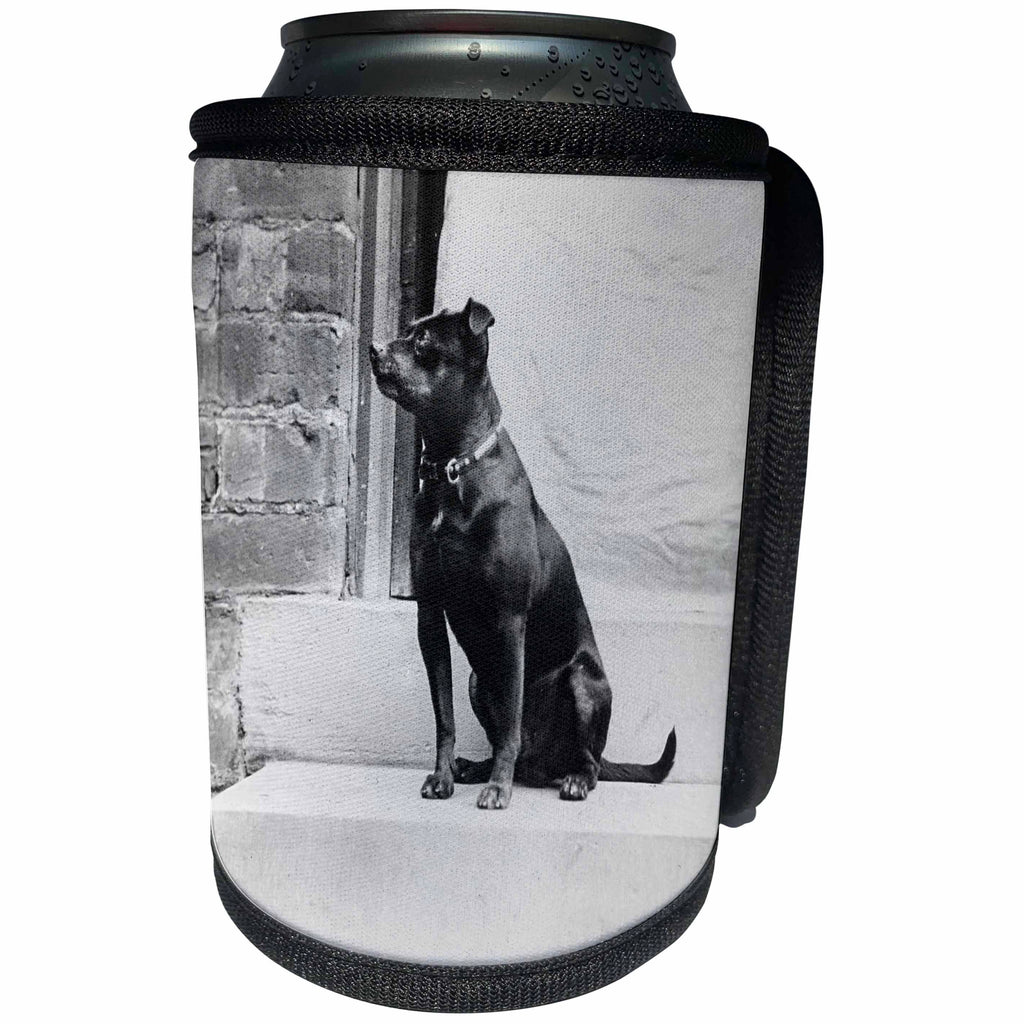 3dRose Scenes from the Past Magic Lantern - Vintage Terrier Named Bruce On Front Stoop Circa 1910 Dog - Can Cooler Bottle Wrap (cc_246041)