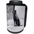 3dRose Scenes from the Past Magic Lantern - Vintage Terrier Named Bruce On Front Stoop Circa 1910 Dog - Can Cooler Bottle Wrap (cc_246041)