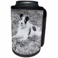 3dRose Scenes from the Past Magic Lantern - Vintage Terrier Called Terry Jack Russell Terrier Puppy Mix Circa 1910 - Can Cooler Bottle Wrap (cc_246046)