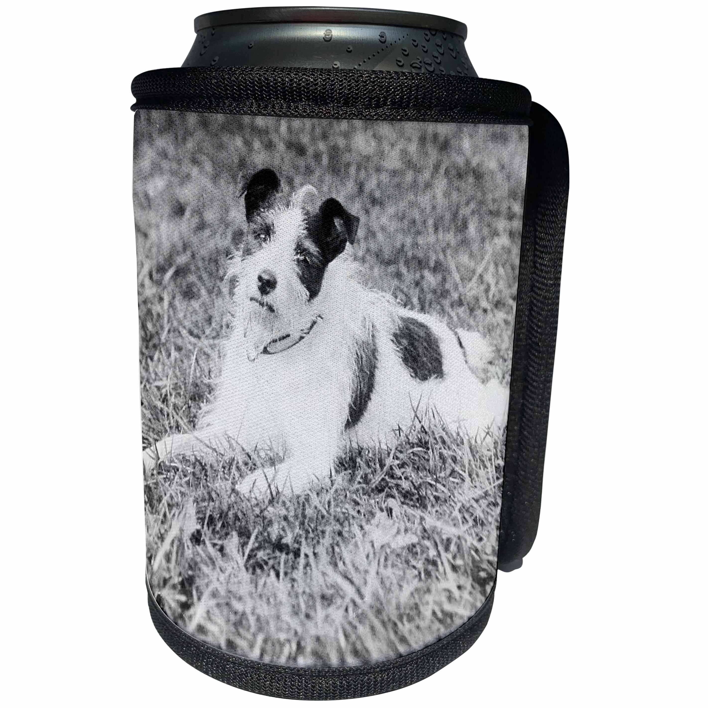 3dRose Scenes from the Past Magic Lantern - Vintage Terrier Called Terry Jack Russell Terrier Puppy Mix Circa 1910 - Can Cooler Bottle Wrap (cc_246046)