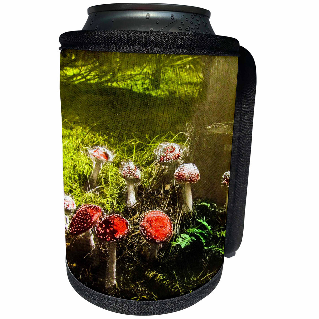 3dRose Scenes from the Past Magic Lantern - Vintage Fantastic Funky Fungus Mushrooms in the Forest 1890s - Can Cooler Bottle Wrap (cc_246047)