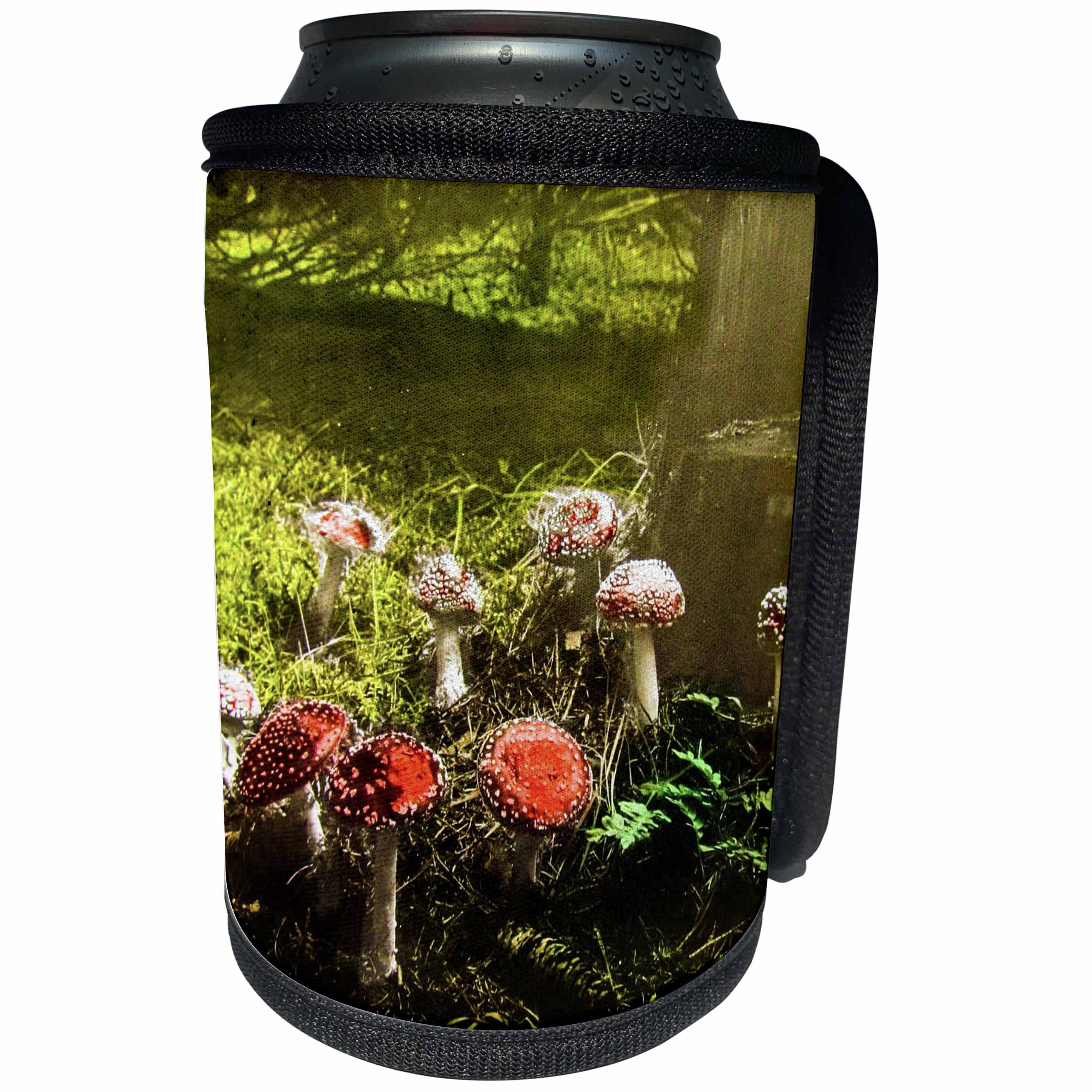 3dRose Scenes from the Past Magic Lantern - Vintage Fantastic Funky Fungus Mushrooms in the Forest 1890s - Can Cooler Bottle Wrap (cc_246047)