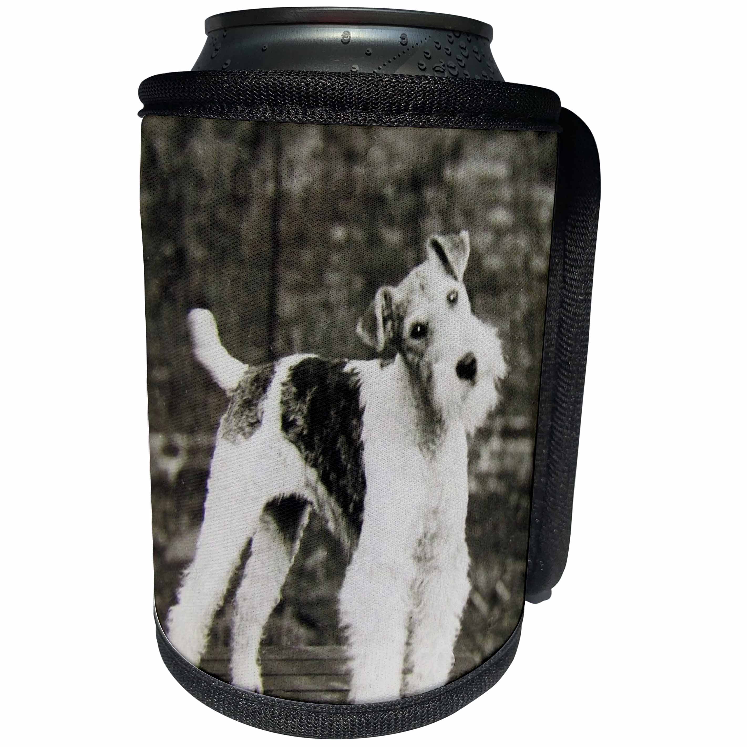 3dRose Scenes from the Past Magic Lantern - Vintage Wire Hair Fox Terrier Dog Circa 1900 Edwardian Era - Can Cooler Bottle Wrap (cc_246098)