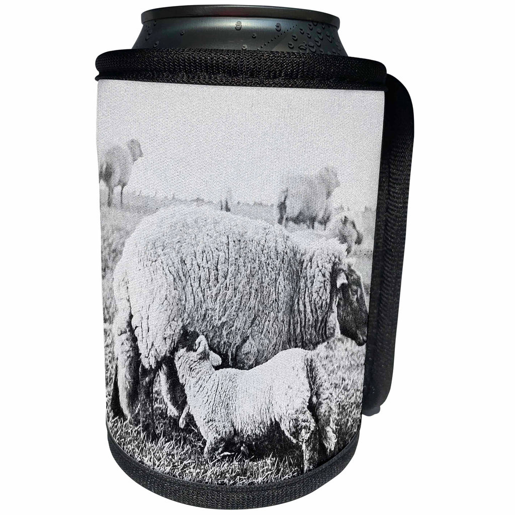 3dRose Scenes from the Past Magic Lantern - Victorian View of Shropshire Sheep Ewes and Lambs 1890 Farming - Can Cooler Bottle Wrap (cc_246204)