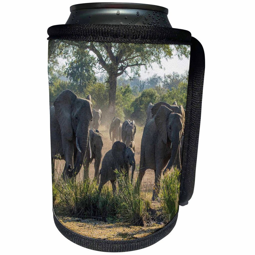3dRose Danita Delimont - Elephant - South Africa, Sabi Sabi Private Game Reserve. Elephants running. - Can Cooler Bottle Wrap (cc_247208)
