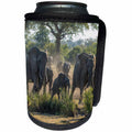 3dRose Danita Delimont - Elephant - South Africa, Sabi Sabi Private Game Reserve. Elephants running. - Can Cooler Bottle Wrap (cc_247208)