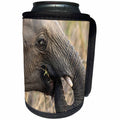 3dRose Danita Delimont - Elephant - South Africa, Sabi Sabi Private Game Reserve. Blue-eyed elephant. - Can Cooler Bottle Wrap (cc_247214)